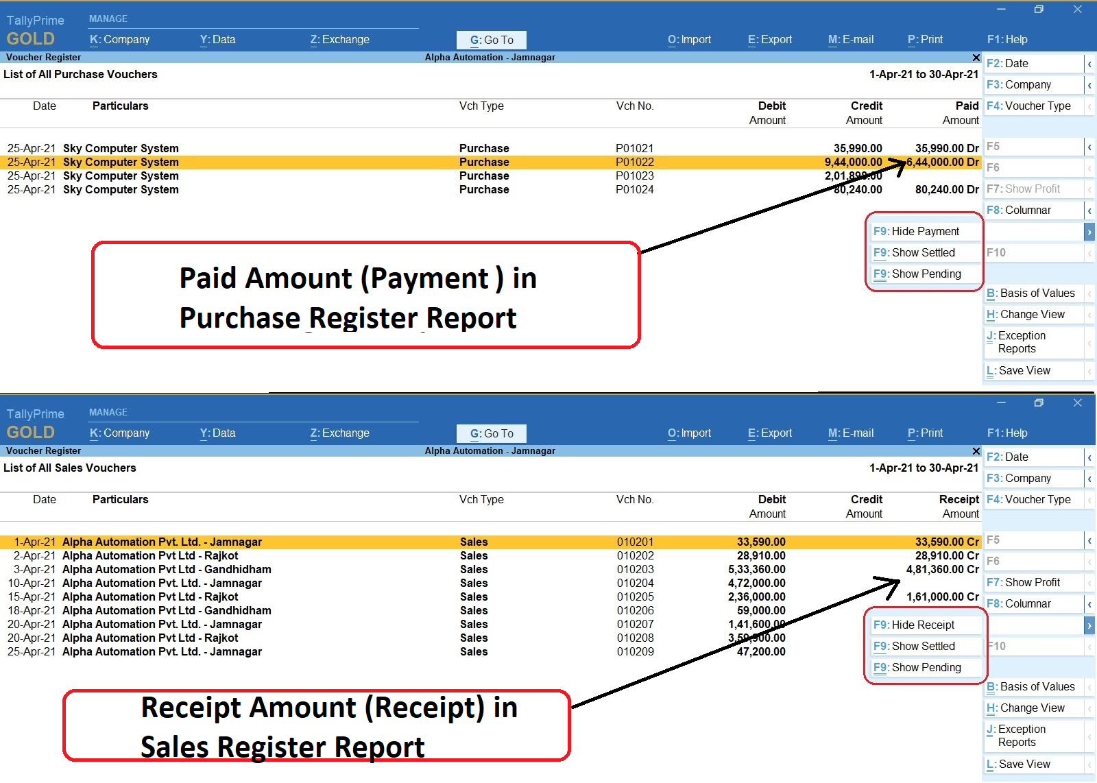 Show Receipt in Sales Register and Payment in Purchase Register